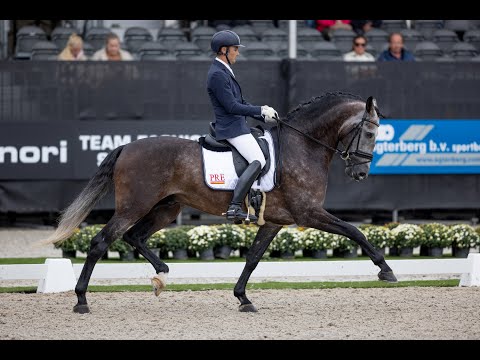 Juan de Dios Ramírez García y Charro Azores en la Final de 5 años: 7.88 puntos (78.800%).