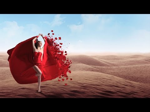 Radion6 & Sarah Lynn - A Desert Rose (Radio Edit)