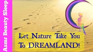 Let nature take you to DreamLand!🌙 💤 - Asmr Beauty Sleep