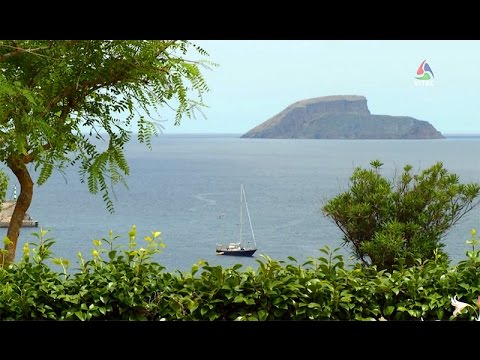 Sanjoaninas 2017 - Marchas de São João - AzoresTV by VITEC www.azorestv.com