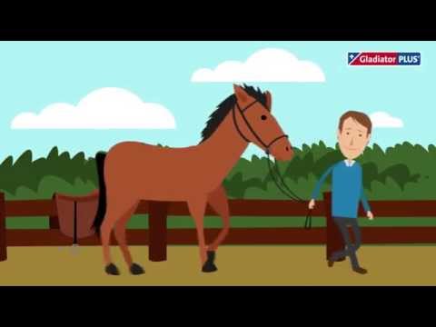 GladiatorPLUS за коне (немски)