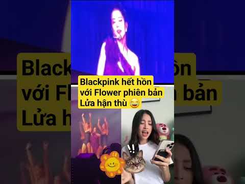 Blackpink hết hồn khi fan hát với Flower phiên bản Lửa hận thù của hoa hậu Tiểu Vy #bornpink