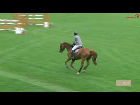 Zidan v. Zinedine-Sandro, Springprf.Kl.M**, Late Entry Riesenbeck