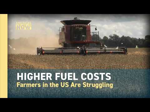 American farms in crisis as diesel and fertilizer prices soar #worldnow