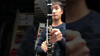 Video thumbnail for Selmer Présence vs Présence Evolution vs Buffet Crampon R13 vs R13 GreenLine by Tony Park