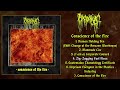 Nyctophagia Conscience Of The Fire FULL EP 2022 Goregrind