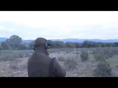 270 winchester in Monteria, 2 Red Stag Deers in a few seconds