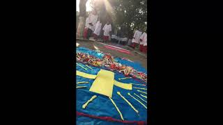 Trecho da ornamentação e procissão de Corpus Christi 2019 - Paróquia São Tiago Maior