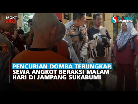 Pencurian Domba Terungkap, Sewa Angkot Beraksi Malam Hari di Jampang Sukabumi