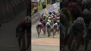 Lorena Wiebes was FLYING at the finish as she clinched a fourth straight Scheldeprijs win 🙌 #shorts