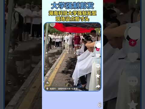 湖南科技大学强制剪发已持续多年