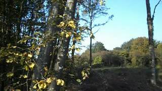 0263_Le bois Charmant