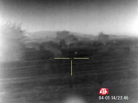 ATN Thor 4 384 1.25-5x coyote hunting 300 yard 5.56