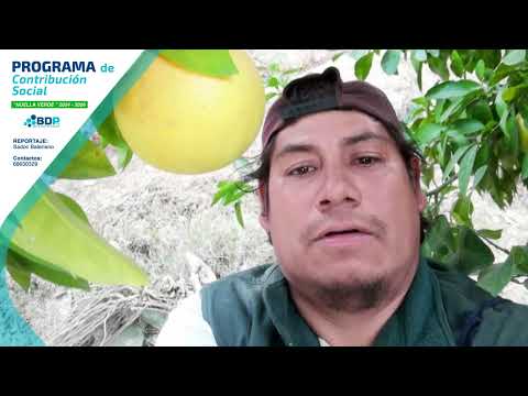 Reportaje: Sadoc Baleriano - Comunidad Luri, Cotagaita, Potosi