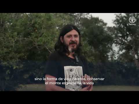 Comunidades guaraníes de Yabotí: bosque nativo y autonomía económica