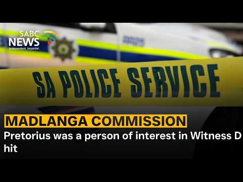Madlanga Commission | Pretorius was a person of interest in Witness D hit