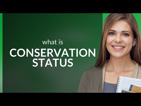 Conservation Status: A Global Tally of Life's Fragility | Vibepedia