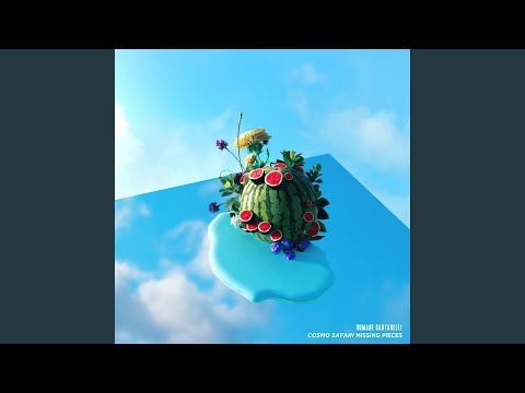 What Do You Look Like ?