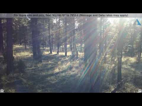 Priced at $204,000 - 2322 Elk Ridge Lane, Overgaard, AZ 85933