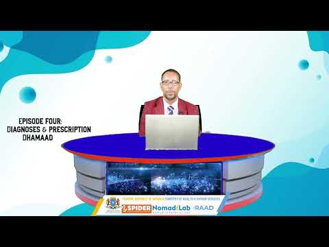 Diagnosis and Drug Presciptions