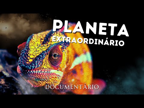 Os ANIMAIS Mais Fascinantes do Mundo | Documentário
