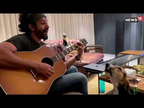 Actor Farhan Akhtar Does A Jamming Session With His Dogs | #viral #viralvideo