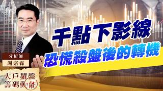 千點下影線 恐慌殺盤後的轉機｜大戶羅盤籌碼動能 ｜謝宗霖 (圖)