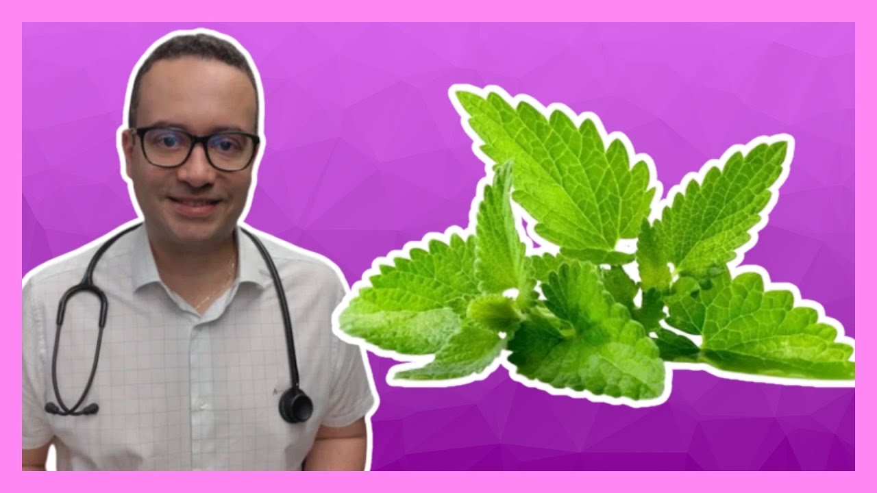 O poderoso Chá de Erva-cidreira (Melissa): benefícios. Para que serve? Como preparar?