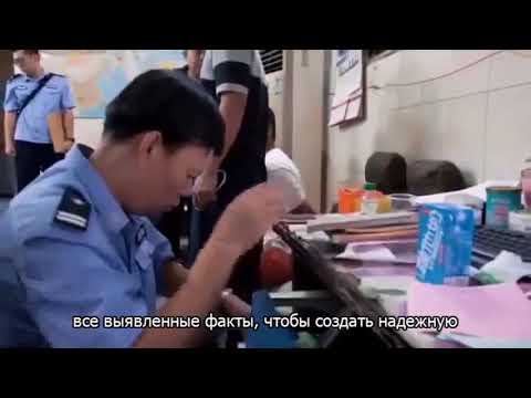 Недорогие подшипники SKF