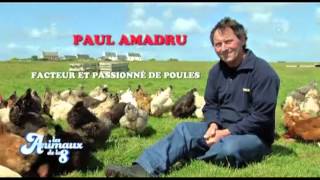 preview picture of video 'Ouessant - Les animaux d'Ouessant - 2013'