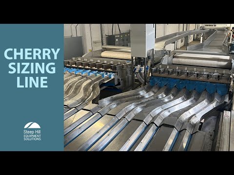 Cherry Processing Line (B2403)