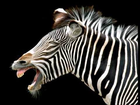 Mr. Kinky - Just Laugh [HQ]