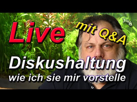 LIVE - mit Q&A - Der Diskus - Wie ich mir die optimale Haltung von Diskussen vorstelle.