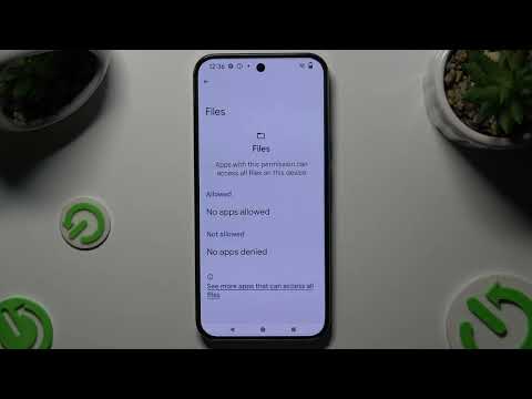 How to Change Apps Permissions on GOOGLE Pixel 9 Pro XL – Apps Settings