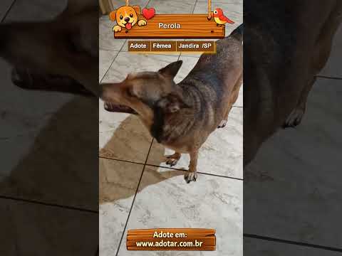 Vídeo de Perola