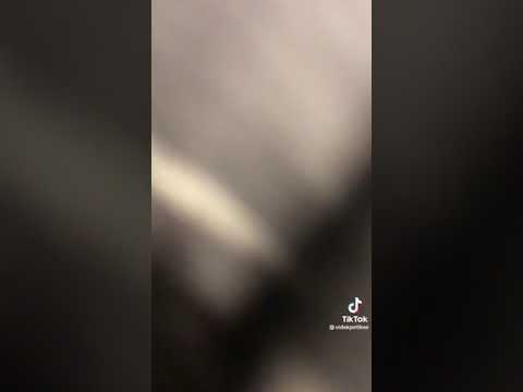 Lakatos zolika & pontyi (Hallgató)