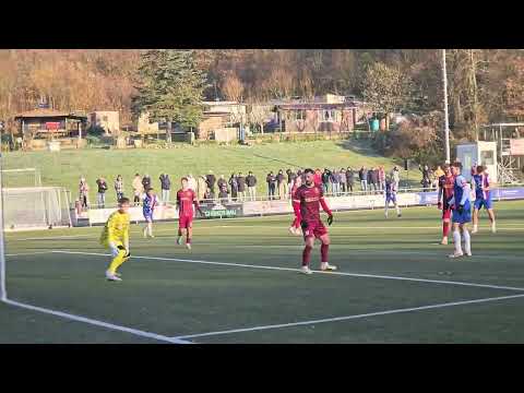 TSG Backnang - VfR Mannheim / Das 2:2 d. Alexandru Paraschiv