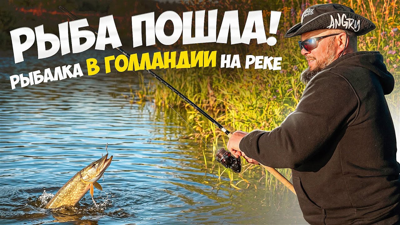 СЧАСТЬЕ НА БЕРЕГУ! 🇳🇱 Рыбалка в Голландии, которую не хочется заканчивать 2