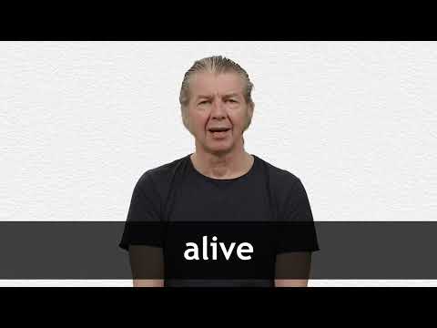 ALIVE definition and meaning | Collins English Dictionary
