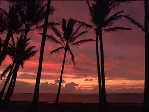 download lagu mp3 mp4 Hoy Comienzo Una Nueva Vida, download lagu Hoy Comienzo Una Nueva Vida gratis, unduh video klip Hoy Comienzo Una Nueva Vida