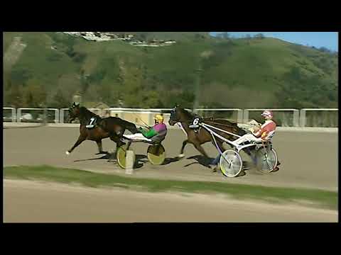 Napoli Trotto 05/02/2021 - 4ª corsa