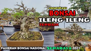 Download lagu INSPIRASI BONSAI ILENG ILENG TERBAIK || PAMERAN BONSAI NASIONAL 2021 mp3 Download lagu INSPIRASI BONSAI ILENG ILENG TERBAIK || PAMERAN BONSAI NASIONAL 2021 mp3