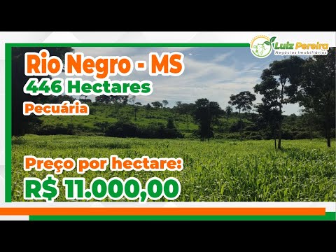 Fazenda de 446 Hectares em Rio Negro-MS excelente oportunidade de negocio na região