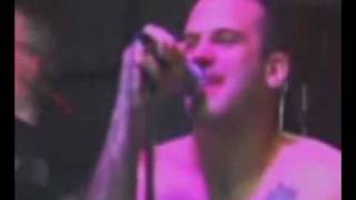 Screeching Weasel - Supermarket fantasy