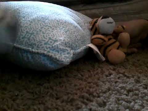 Tv4 Movie : The Bully!!