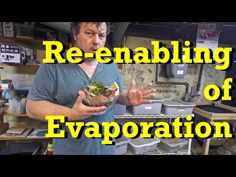 Plastic worm bin coverings removed to adapt to humid summer air - vermicomposting