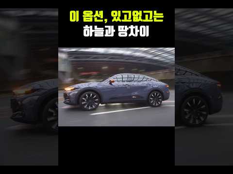 이 옵션 있으면 고급차다. ㅇㅈ?