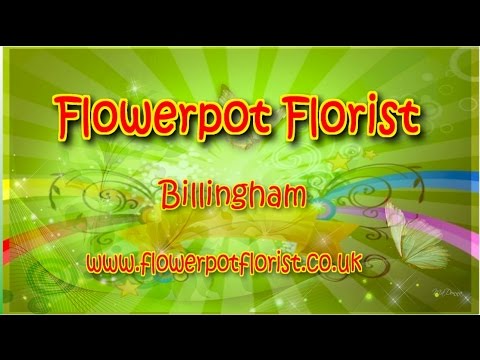 download lagu mp3 mp4 Flower Delivery Billingham, download lagu Flower Delivery Billingham gratis, unduh video klip Flower Delivery Billingham