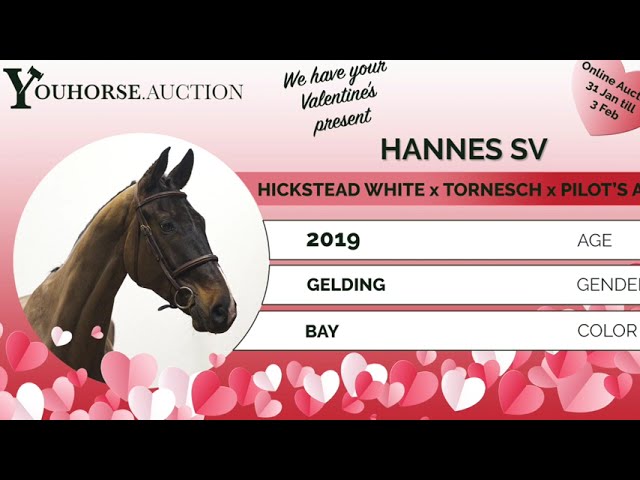 Hannes qualification bundes championat 6 yo