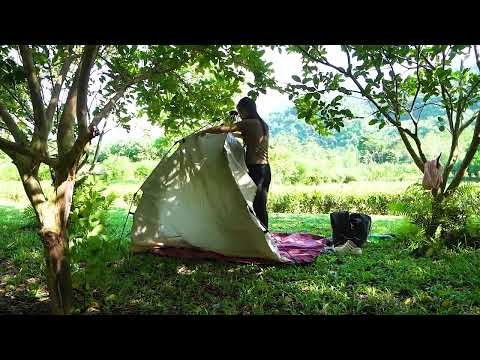 SOLO OVERNIGHT CAMPING IN THE RAIN - RELAXING IN THE TENT WITH THE SATISFYING SOUND OF NATURE - ASMR